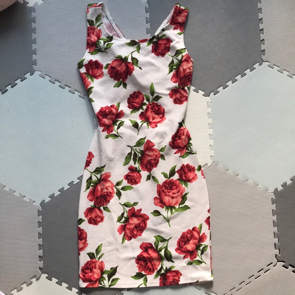 Red Rose White Mini Dress